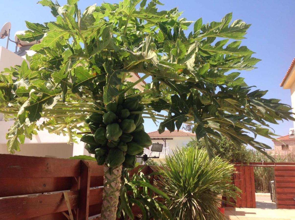 Carolyn Villa Is A Luxury 4-Bedroom Villa With Private Pool In Agia Napa Exterior foto